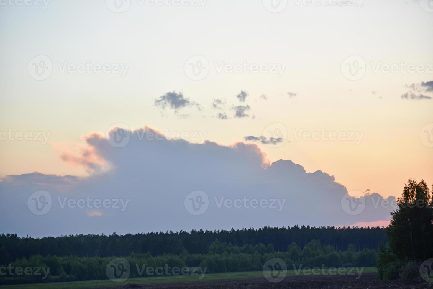 horizonte de bosque nocturno con nubes rosas tormentosas foto