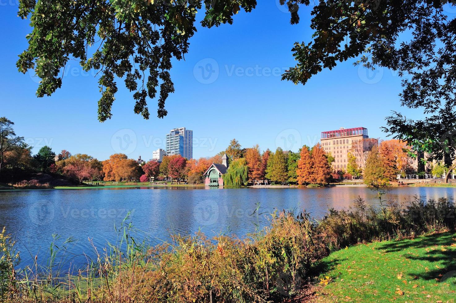 parque central de la ciudad de nueva york otoño foto