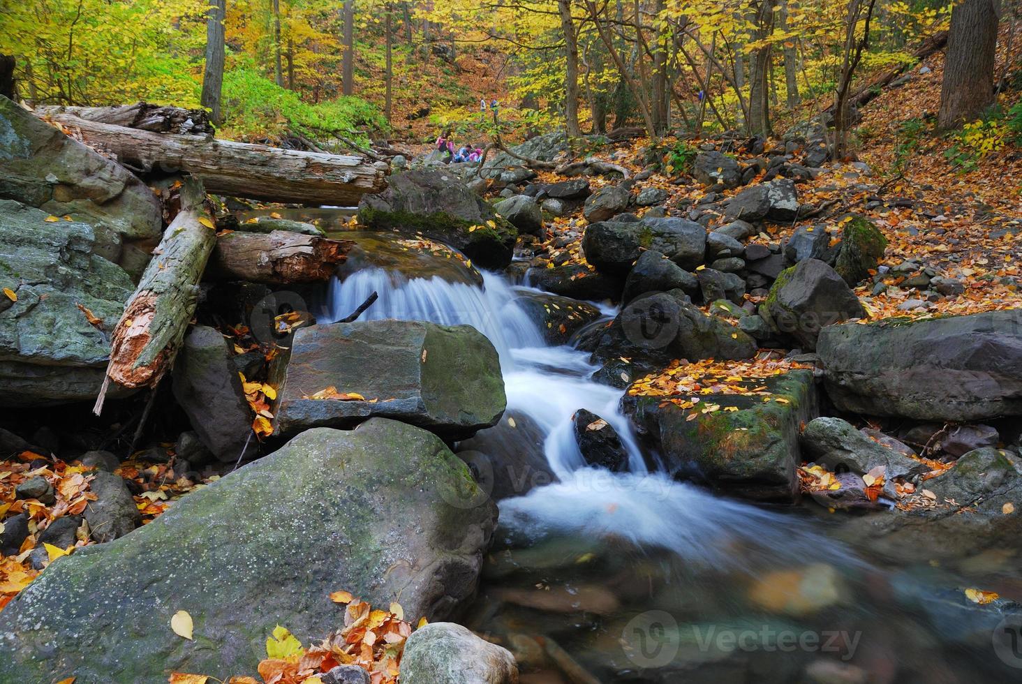 Autumn creek closeup with tree branches photo