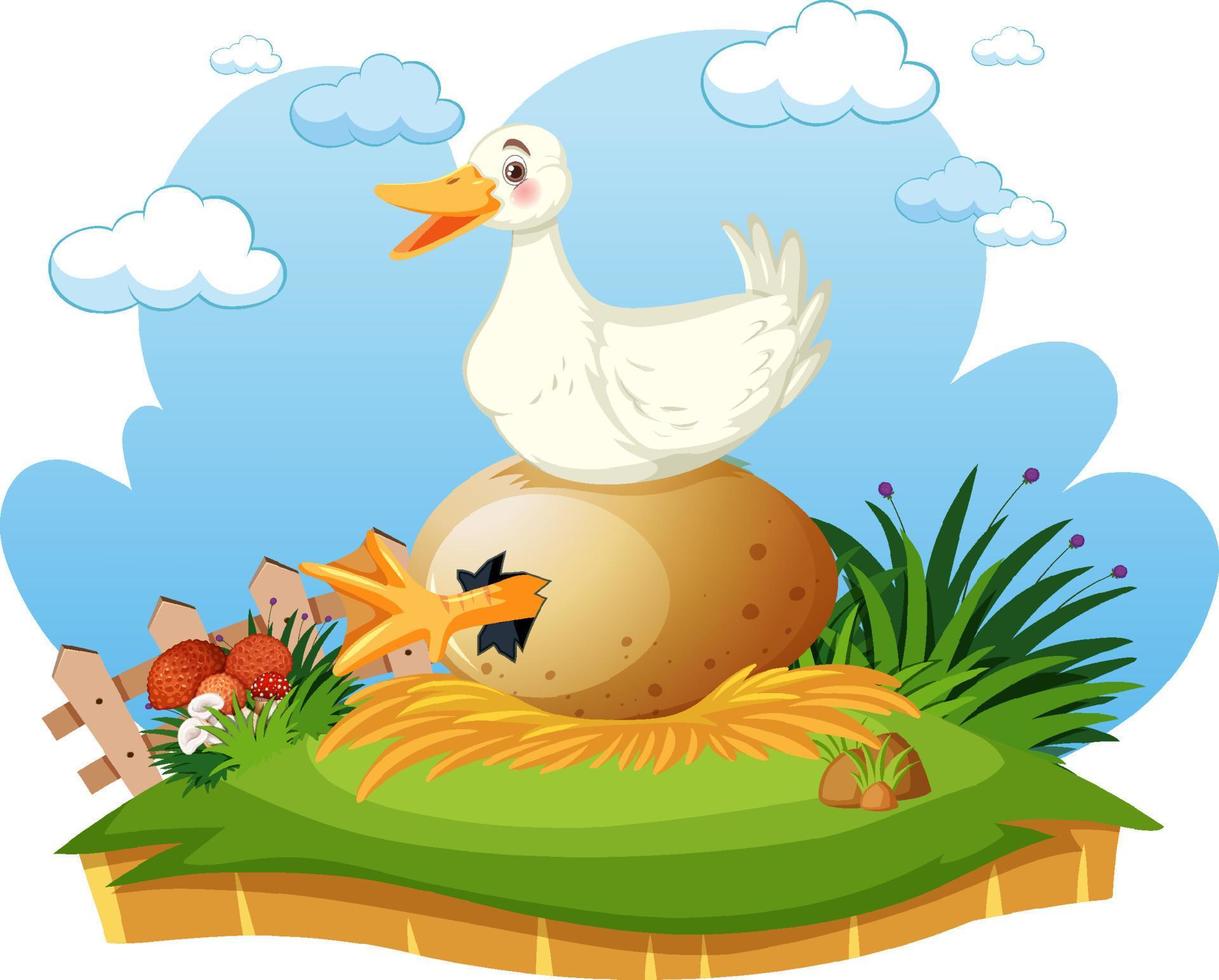 A duck sitting on a hatching big egg vector