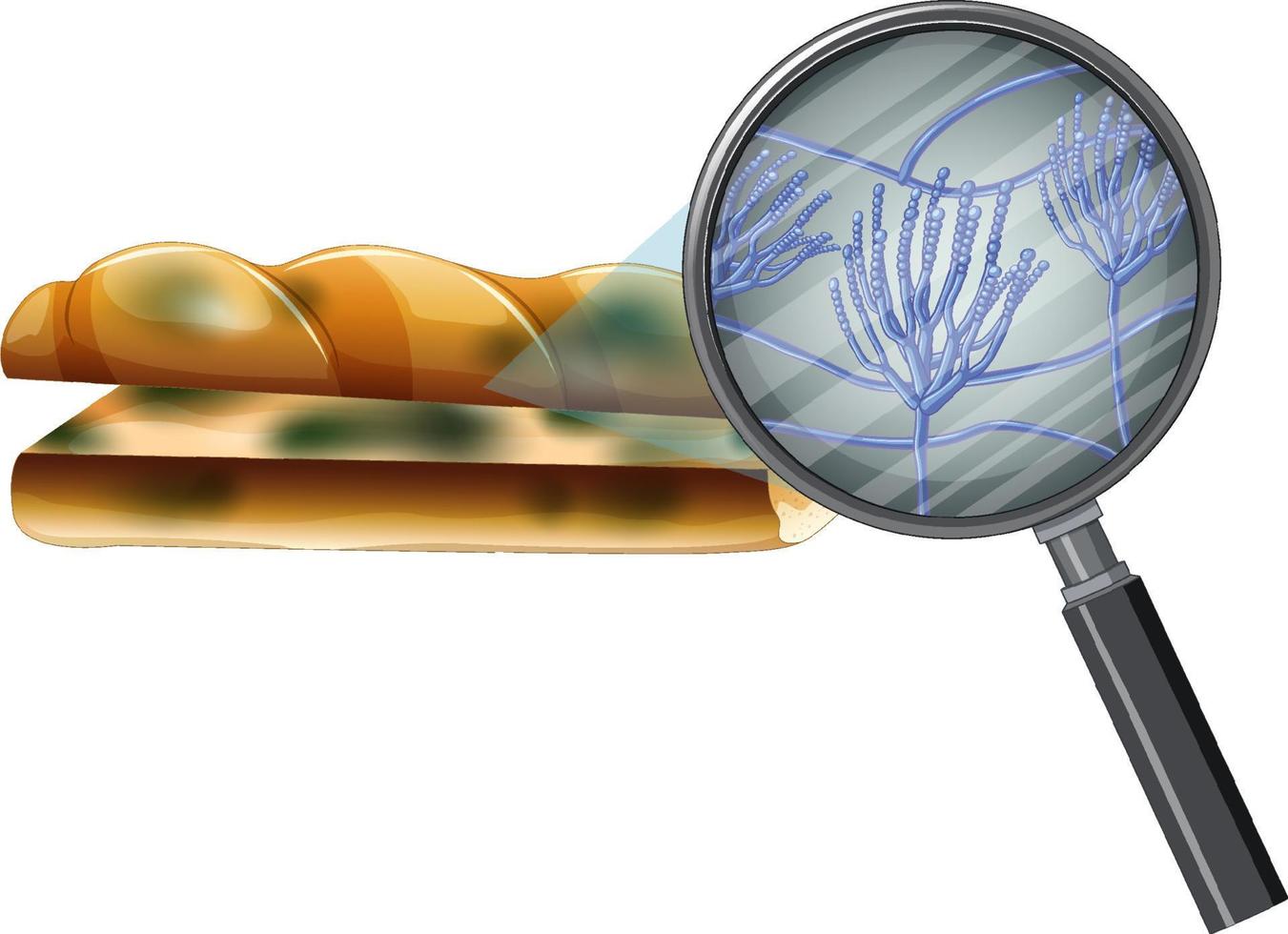 Inedible bread with mould vector