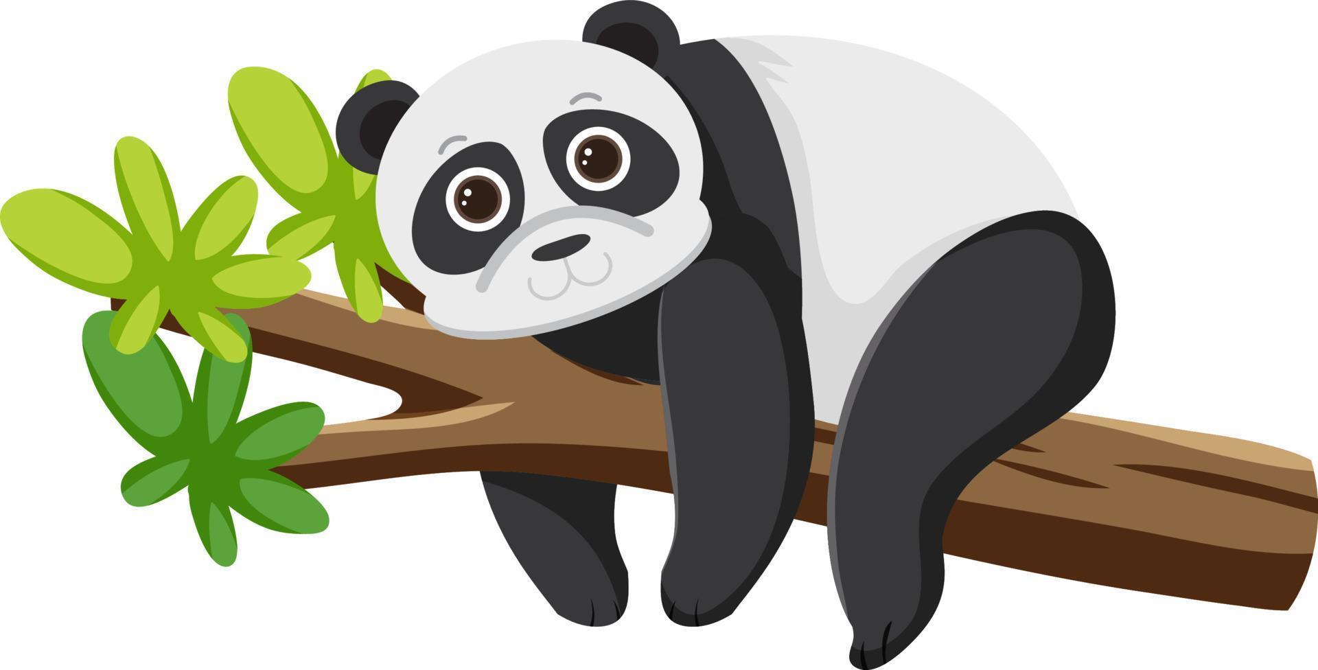 Panda bear lying on tree vector