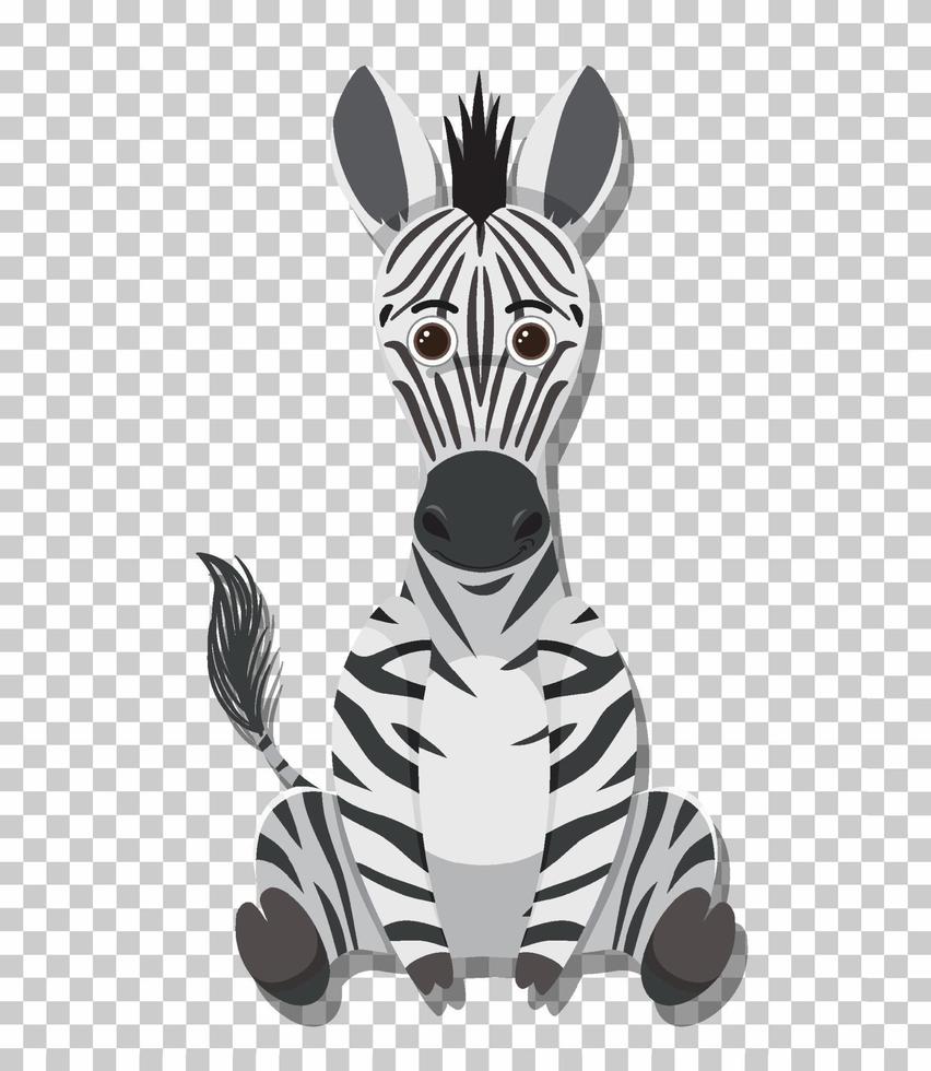 Cute zebra in flat cartoon style vector