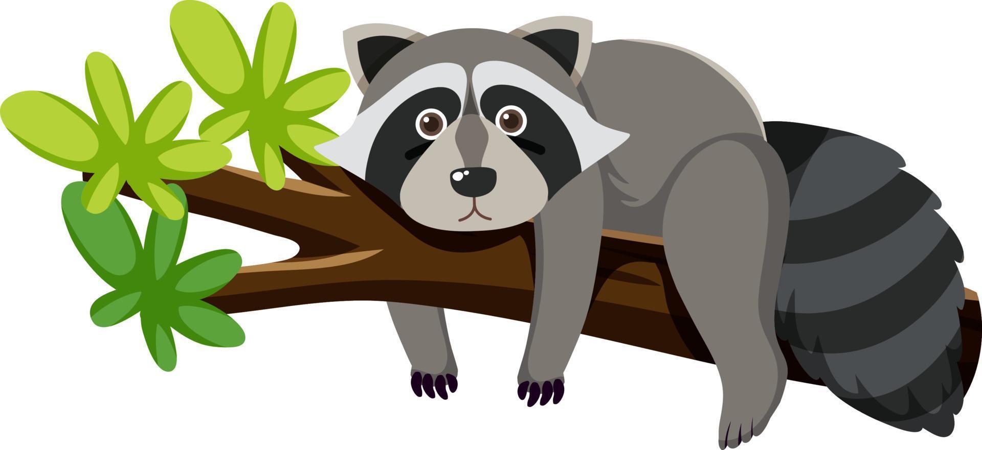 Cute raccoon in flat cartoon style vector
