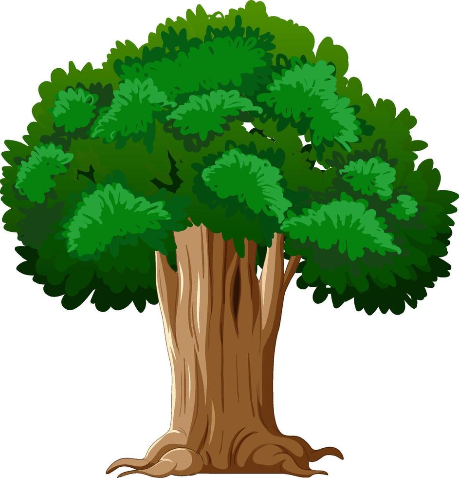 dibujos animados aislados de árbol grande vector