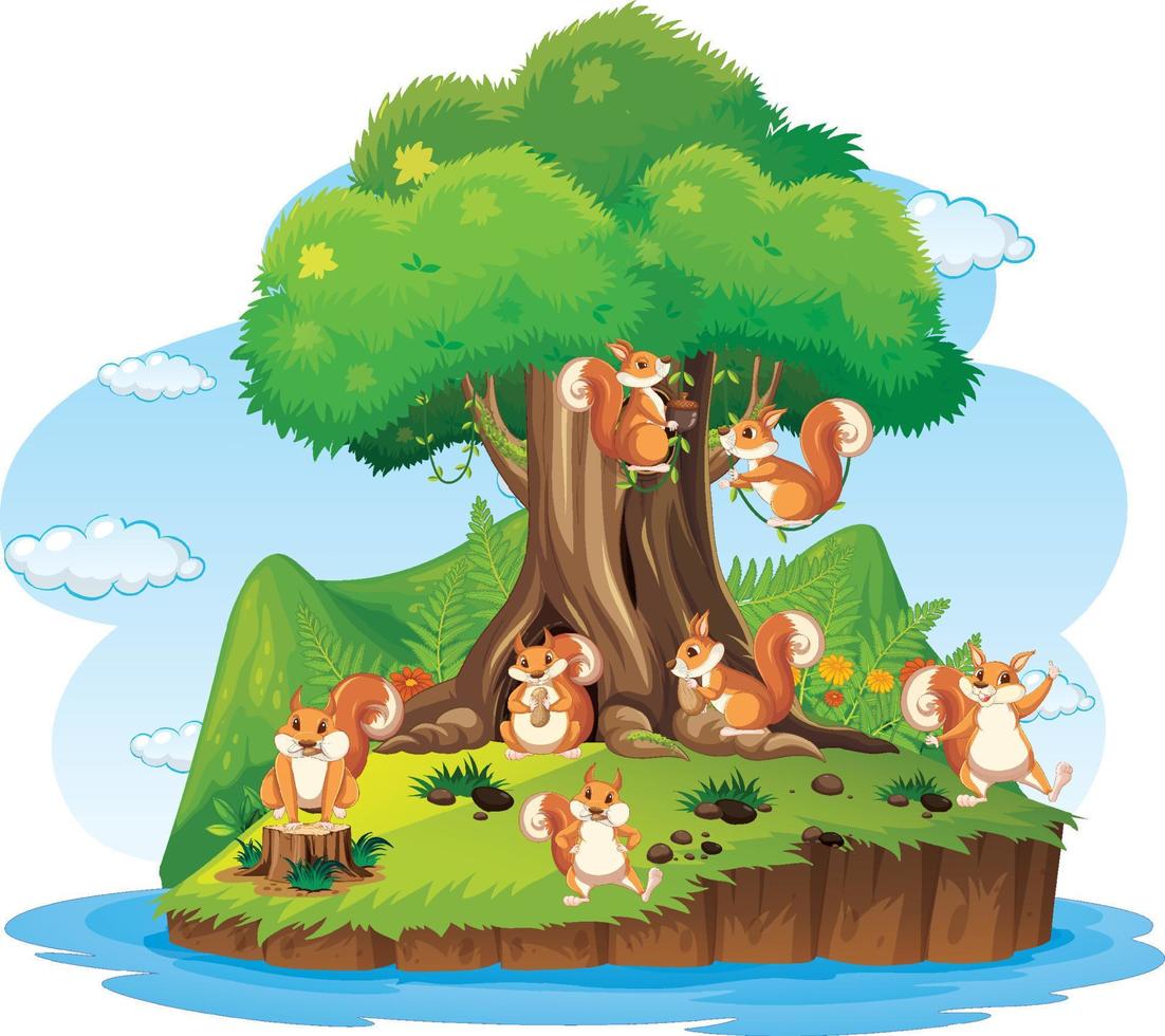 Many squirrels on the island vector