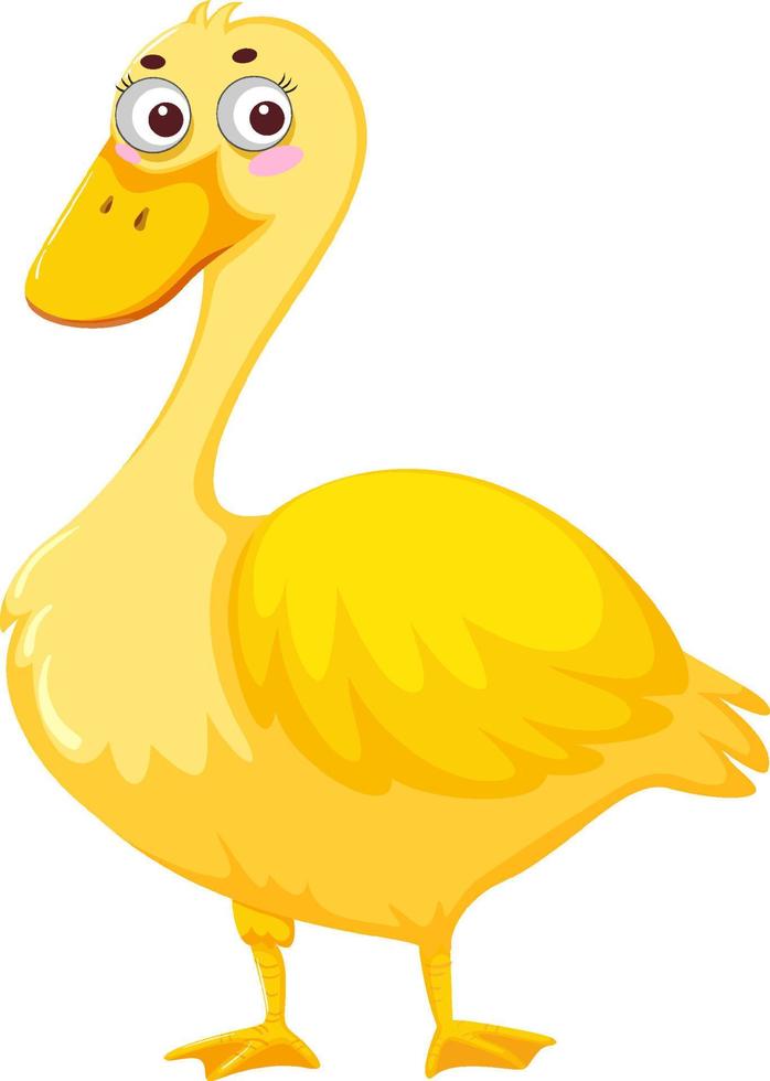 Duck cartoon character on white background vector