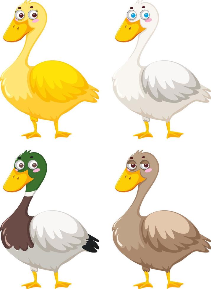 Duck cartoon character on white background vector