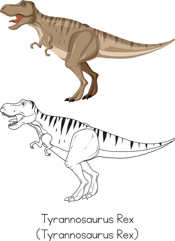 Dinosaur sketching of tyrannosaurus rex vector