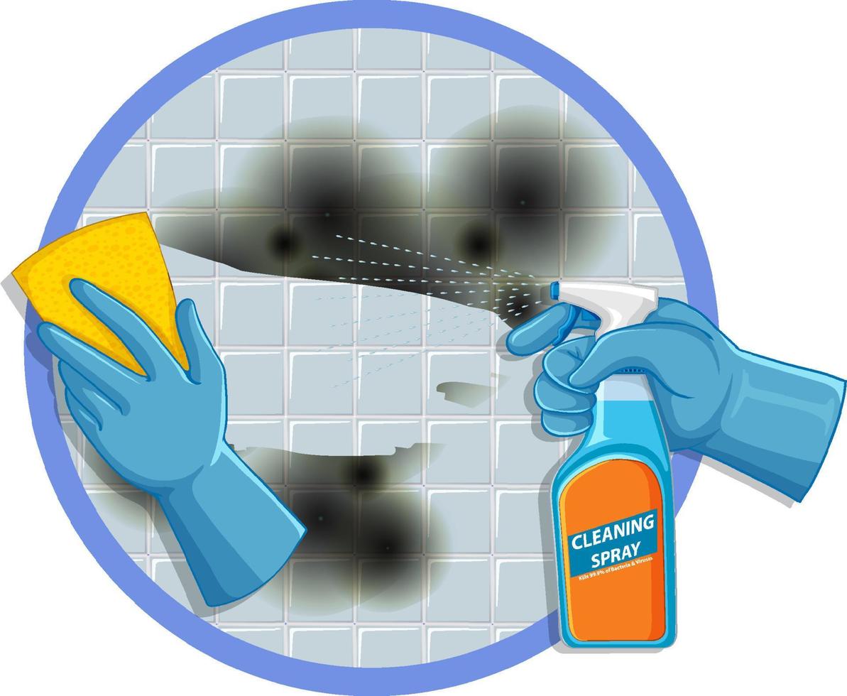 Cleaning spray with mold on the wall vector