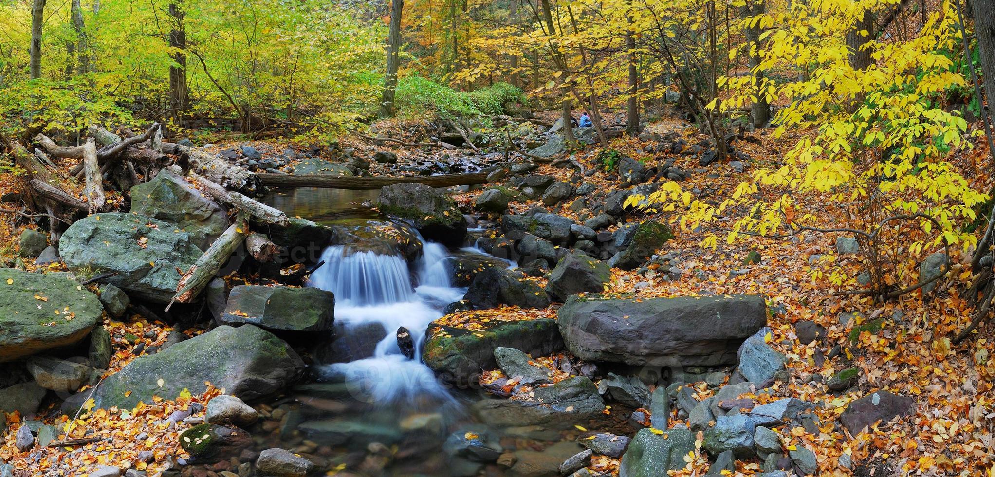 Autumn creek panorama photo