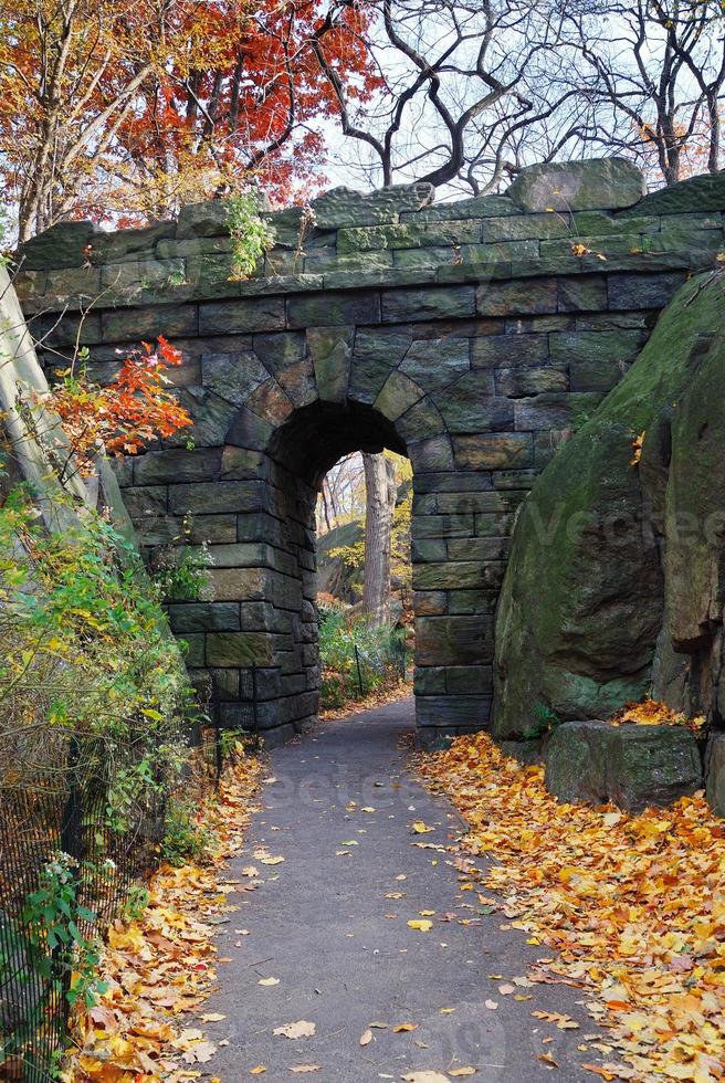 New York City Manhattan Central Park photo