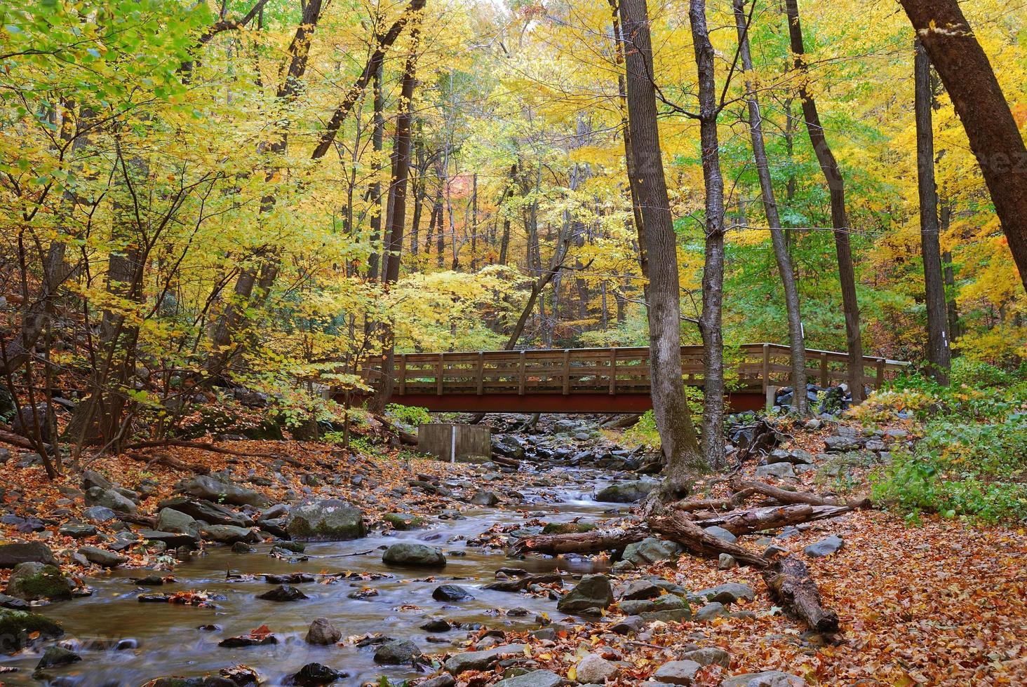 Autumn wood bridge photo