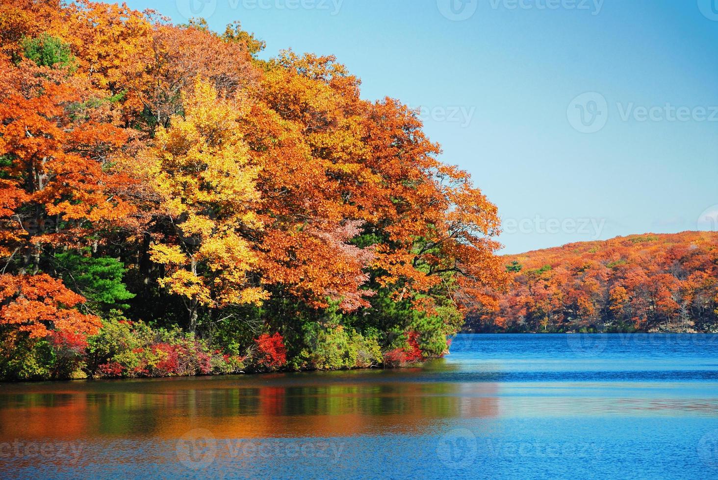 Autumn foliage over lake photo