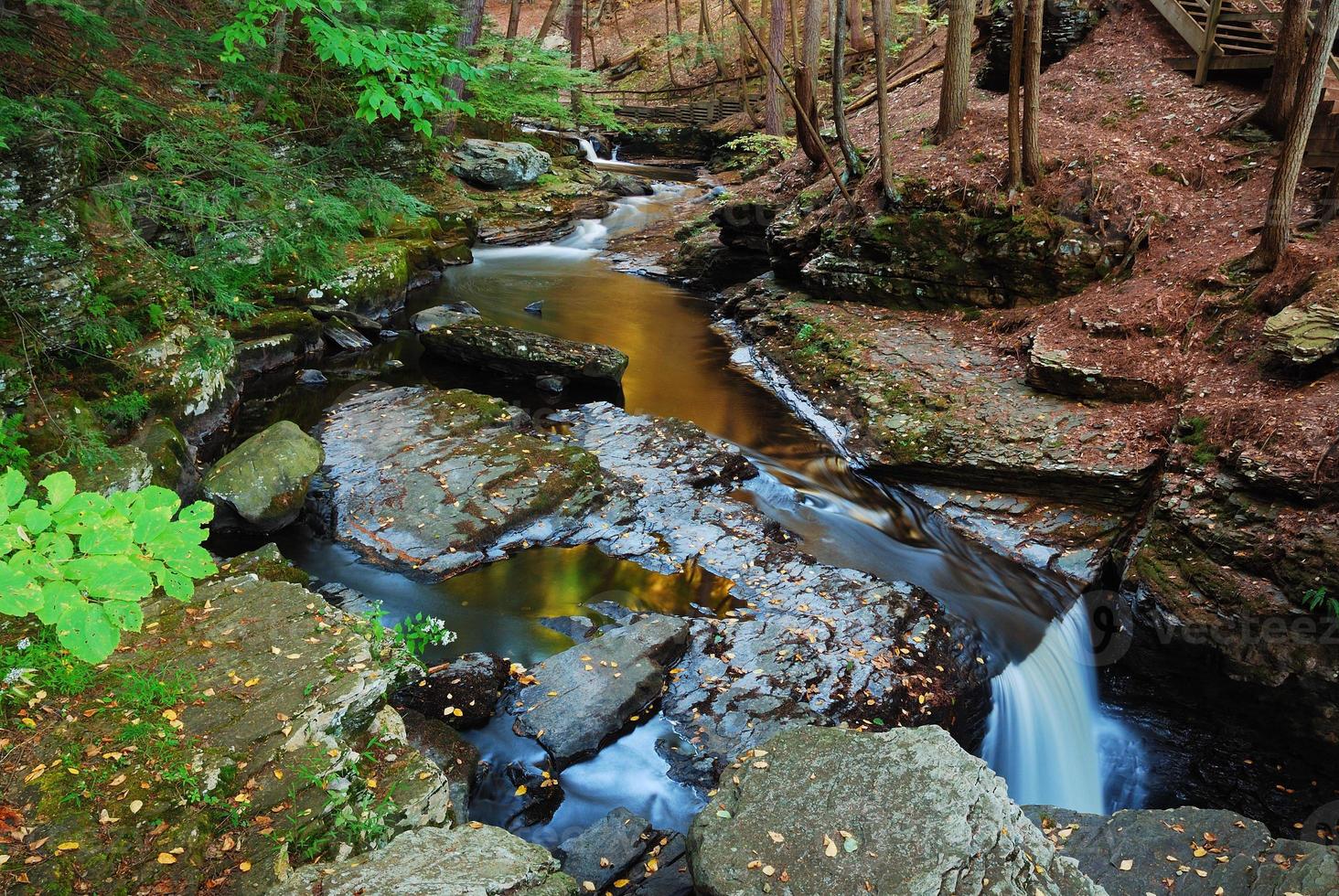 Creek in woods photo