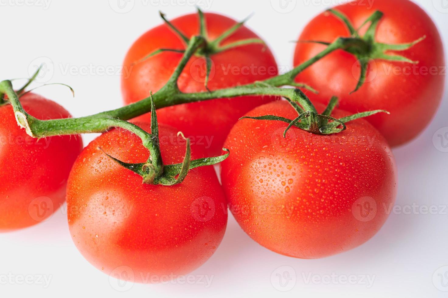 macro of vine tomatoes photo