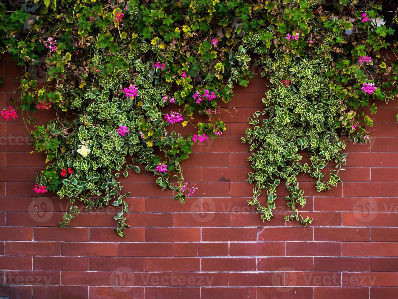 fondo de la vieja pared de ladrillos de arcilla marrón foto