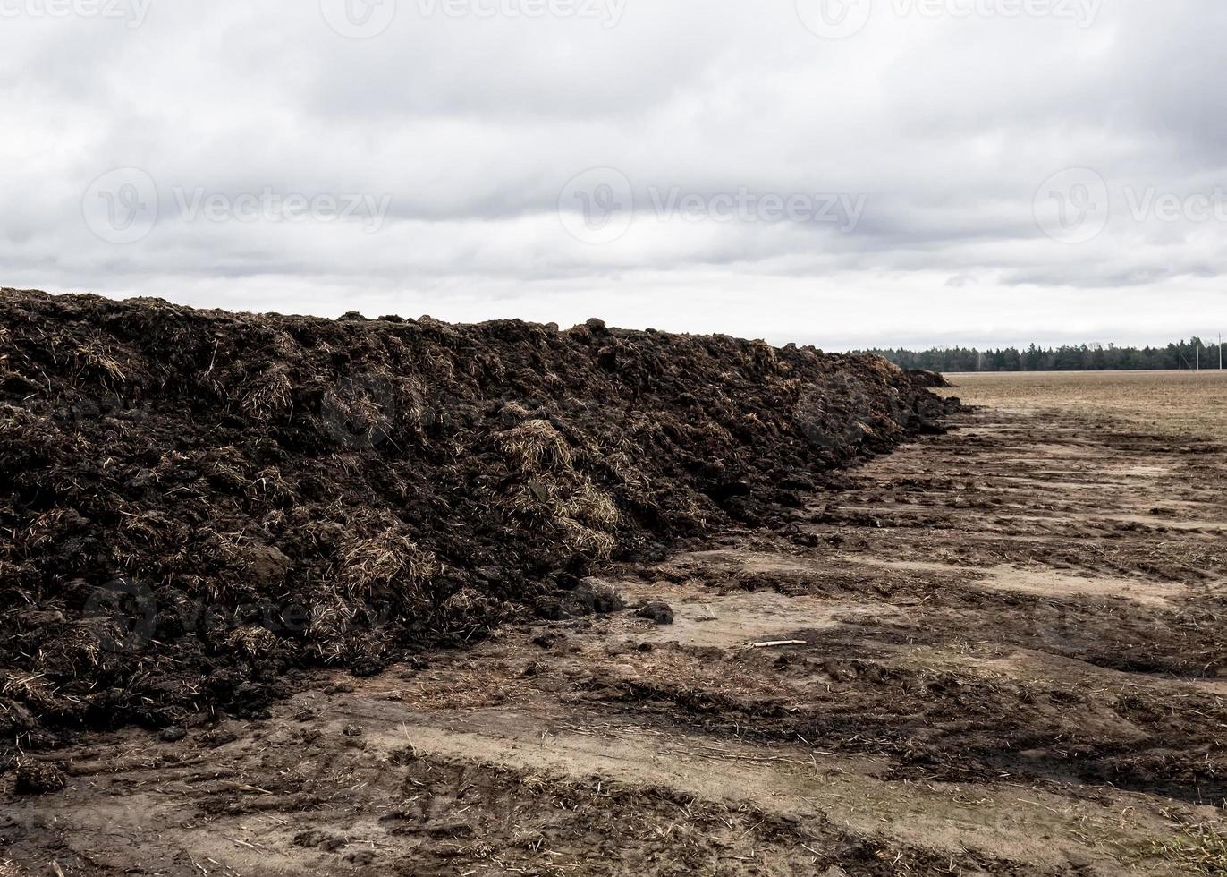 Prepare the soil for planting. Organic fertilizer and soil texture background. top view. photo