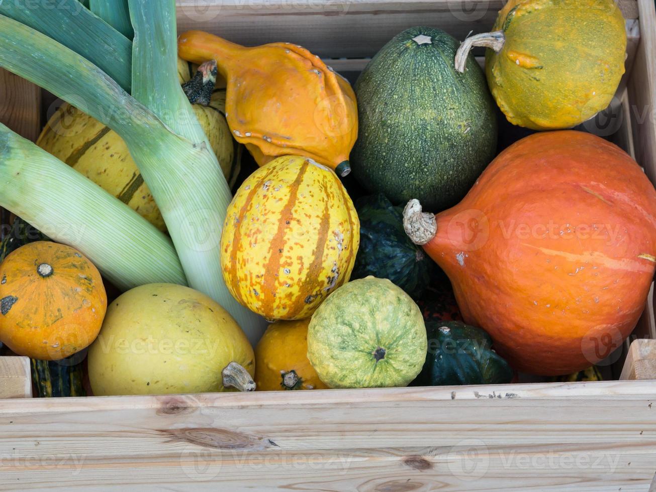 multi-colored pumpkins are stored in a wooden box photo