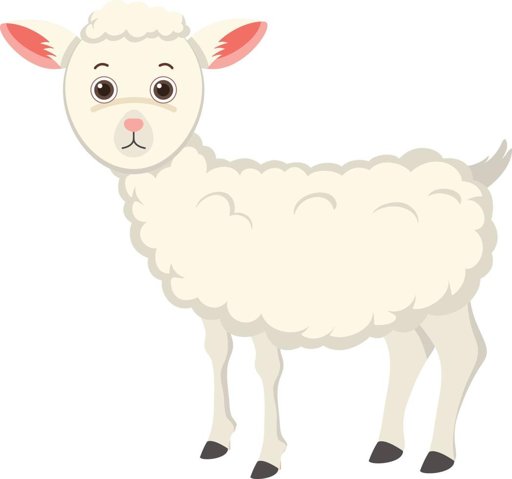 Cute sheep in flat cartoon style vector