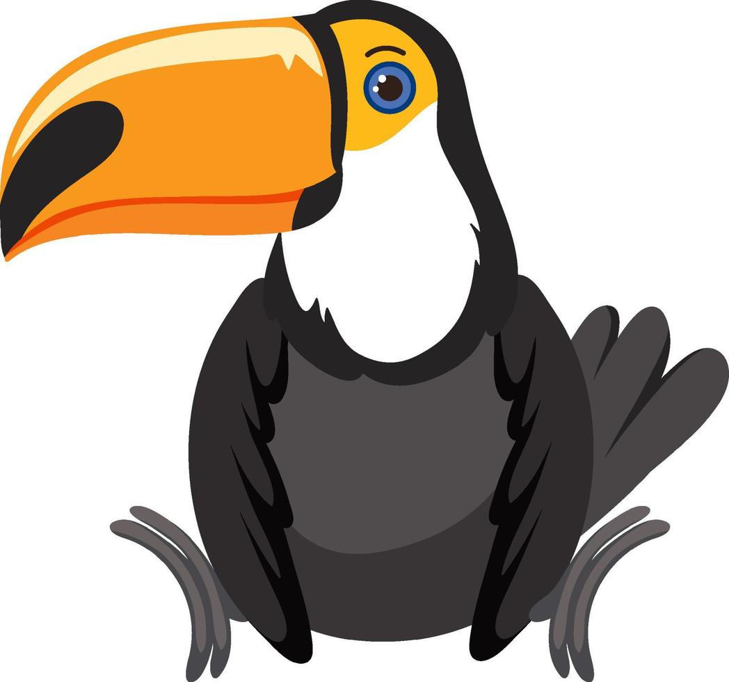 Cute toucan in flat style isolated vector