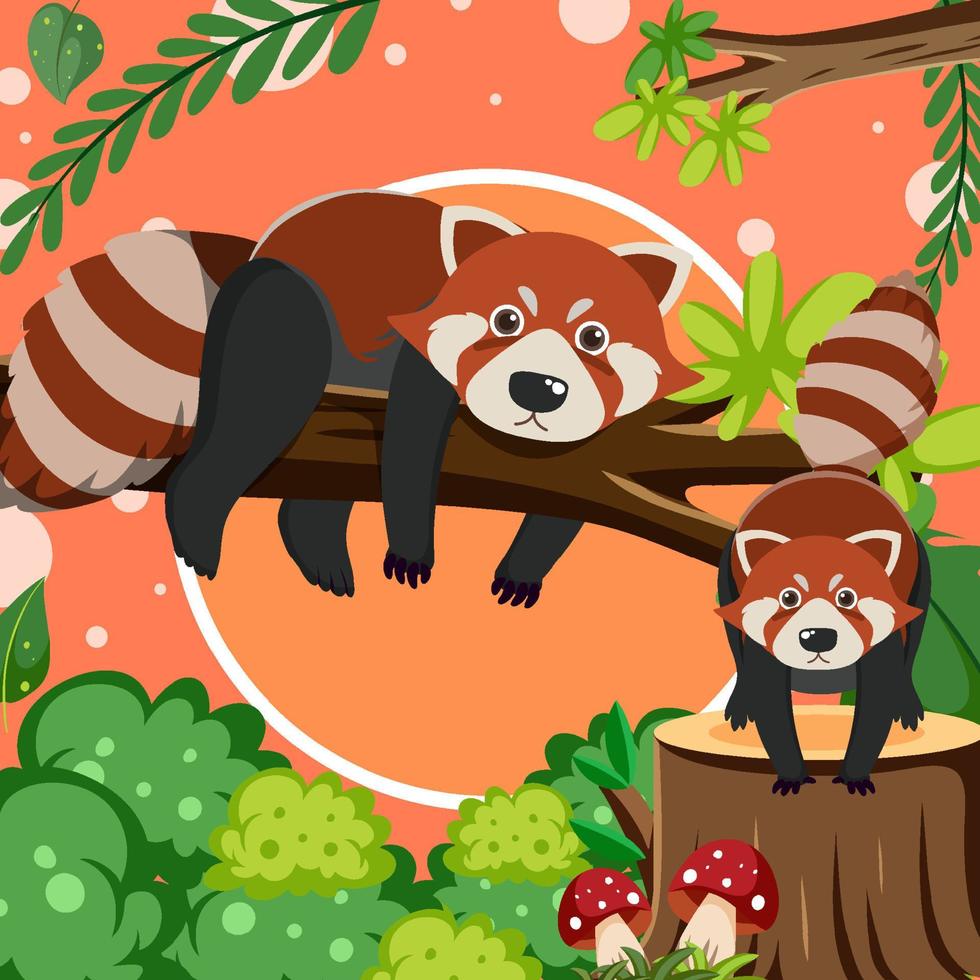 Cute red panda in flat cartoon style vector