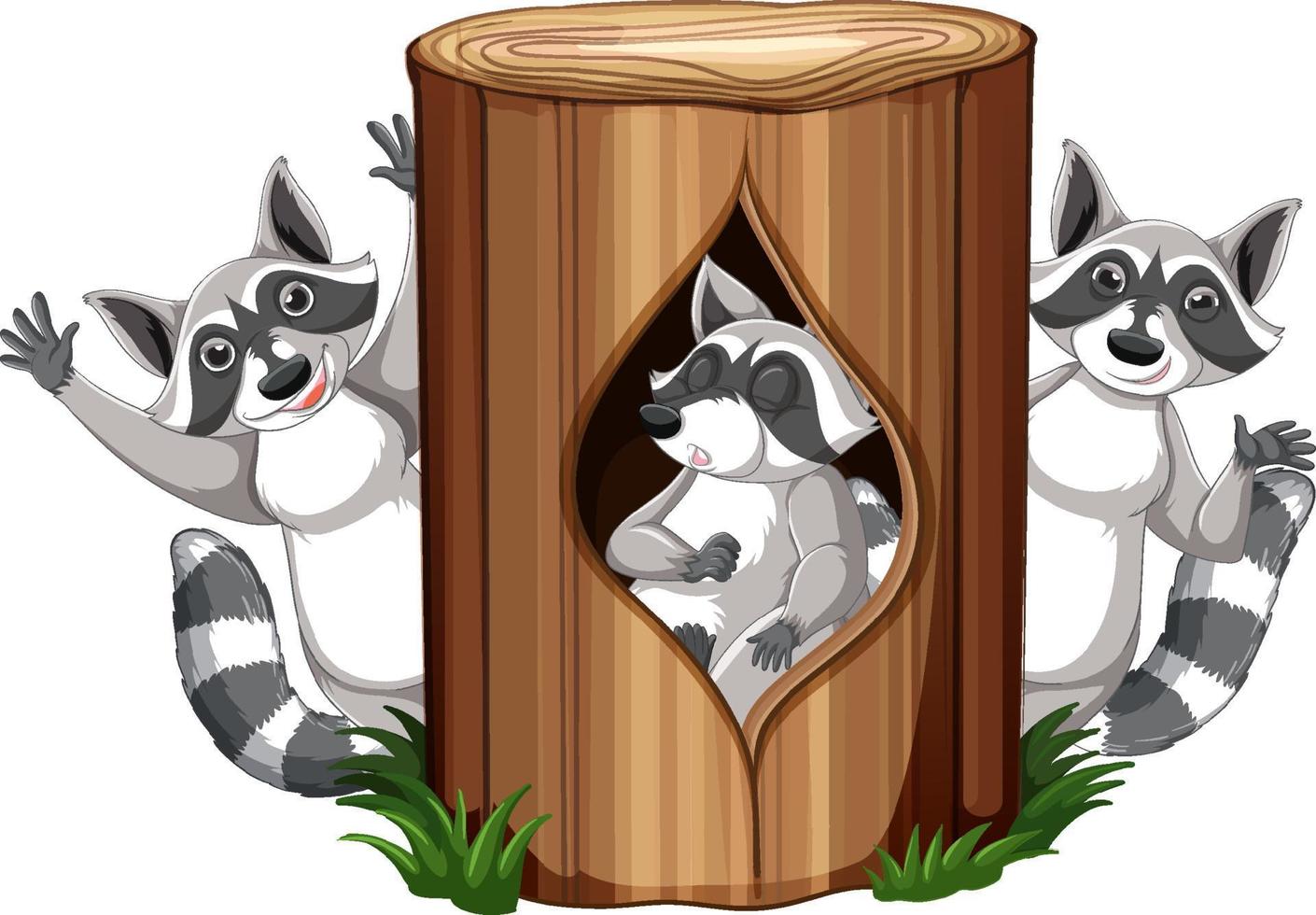 Three raccoons in the garden vector