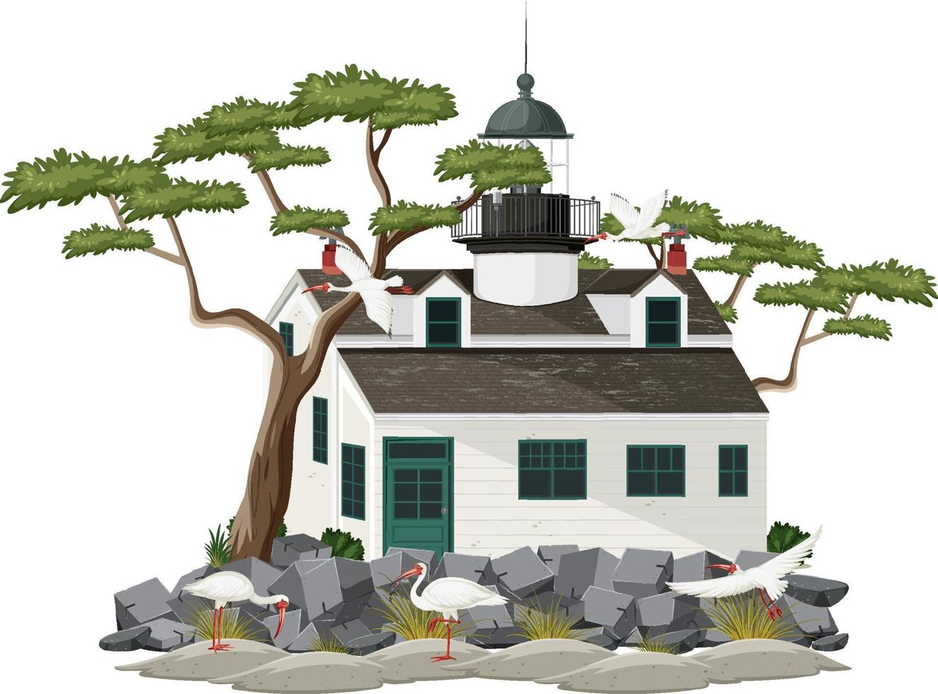 Lighthouse building with American white ibis vector