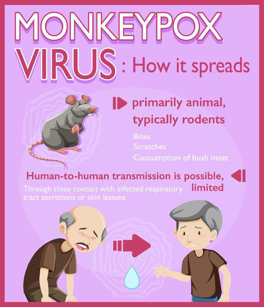 Monkeypox virus symptoms infographic vector