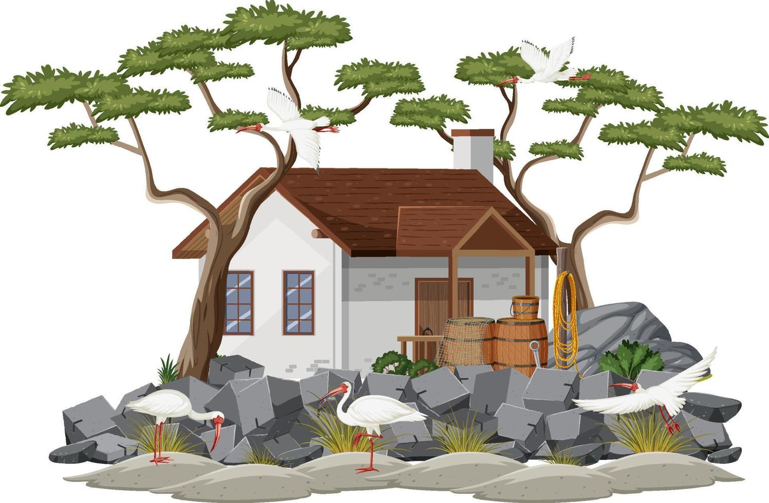 A house with American white ibis group vector