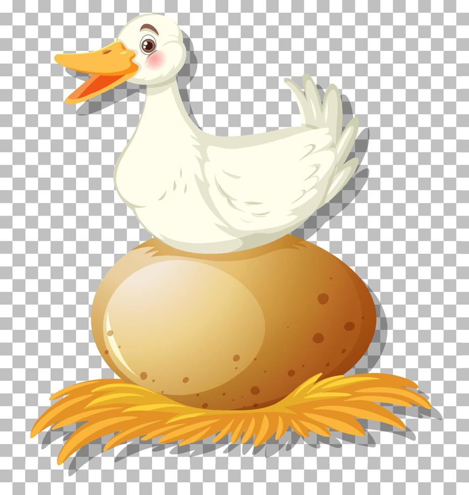 A duck on egg cartoon character vector