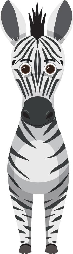 Cute zebra in flat cartoon style vector