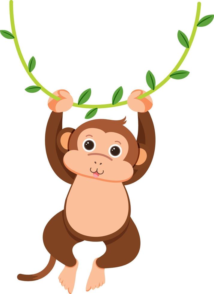 Monkey hanging on liana vector