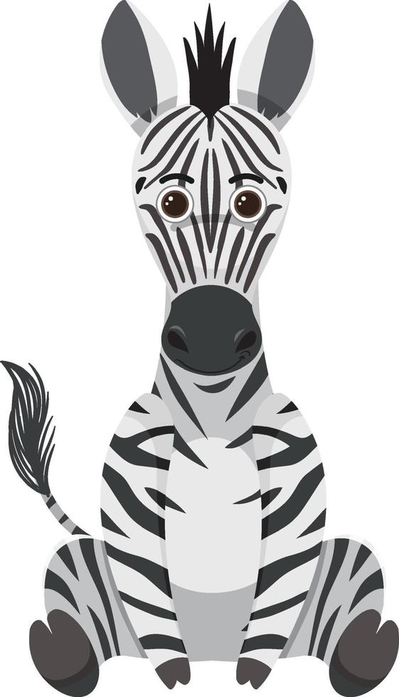 Cute zebra in flat style isolated vector