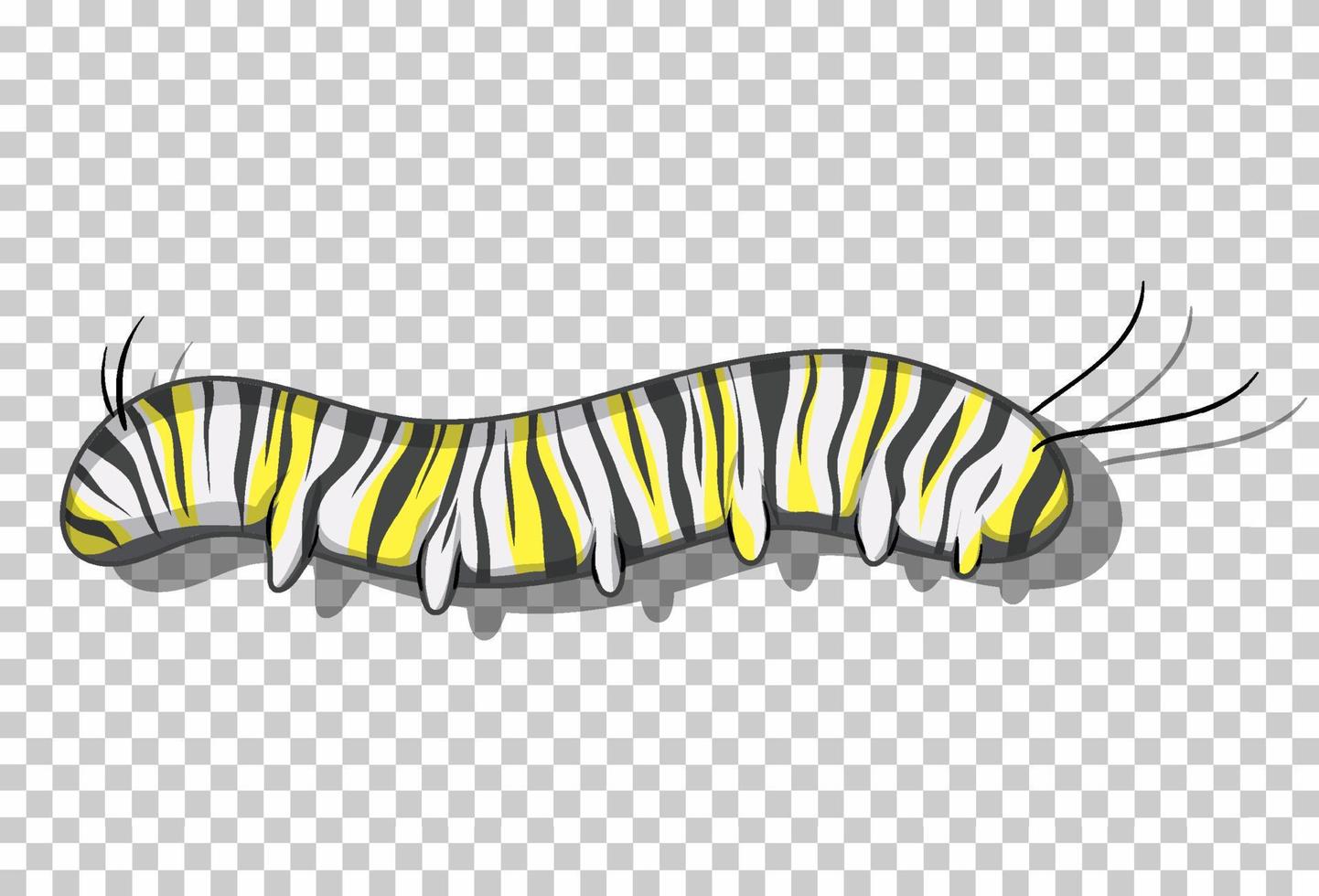 Caterpillar in cartoon style vector