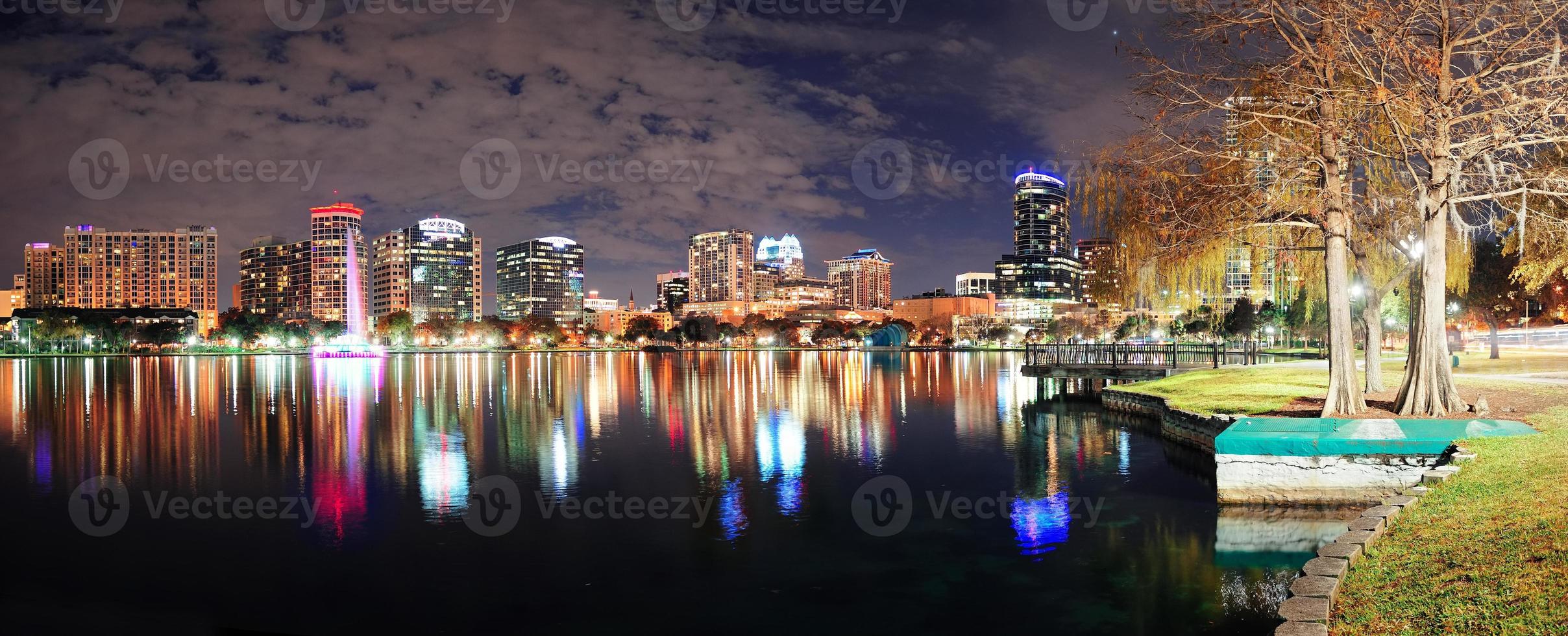 Orlando night panorama photo