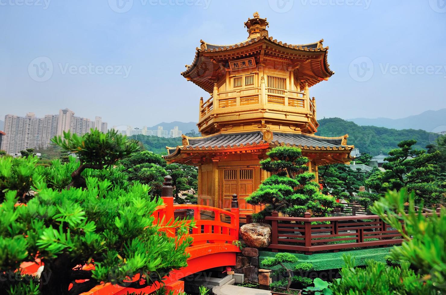 jardín de hong kong foto