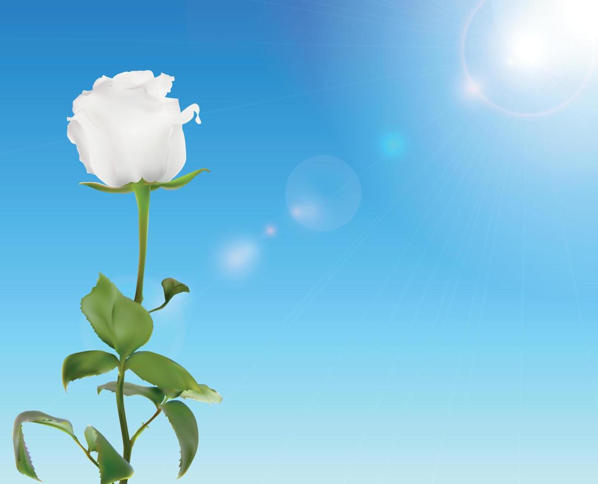 Beautiful Rose Against Shiny Sky Vector Illustration