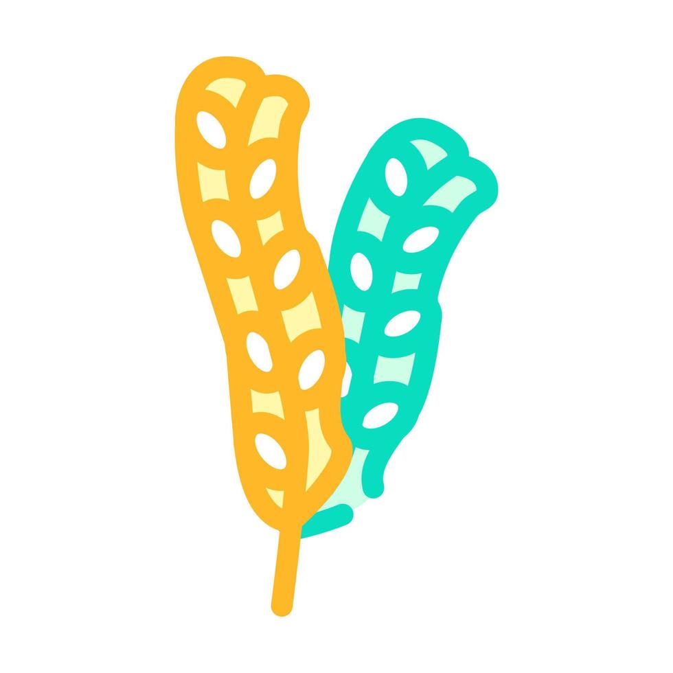 fucus vesiculosus seaweed color icon vector illustration
