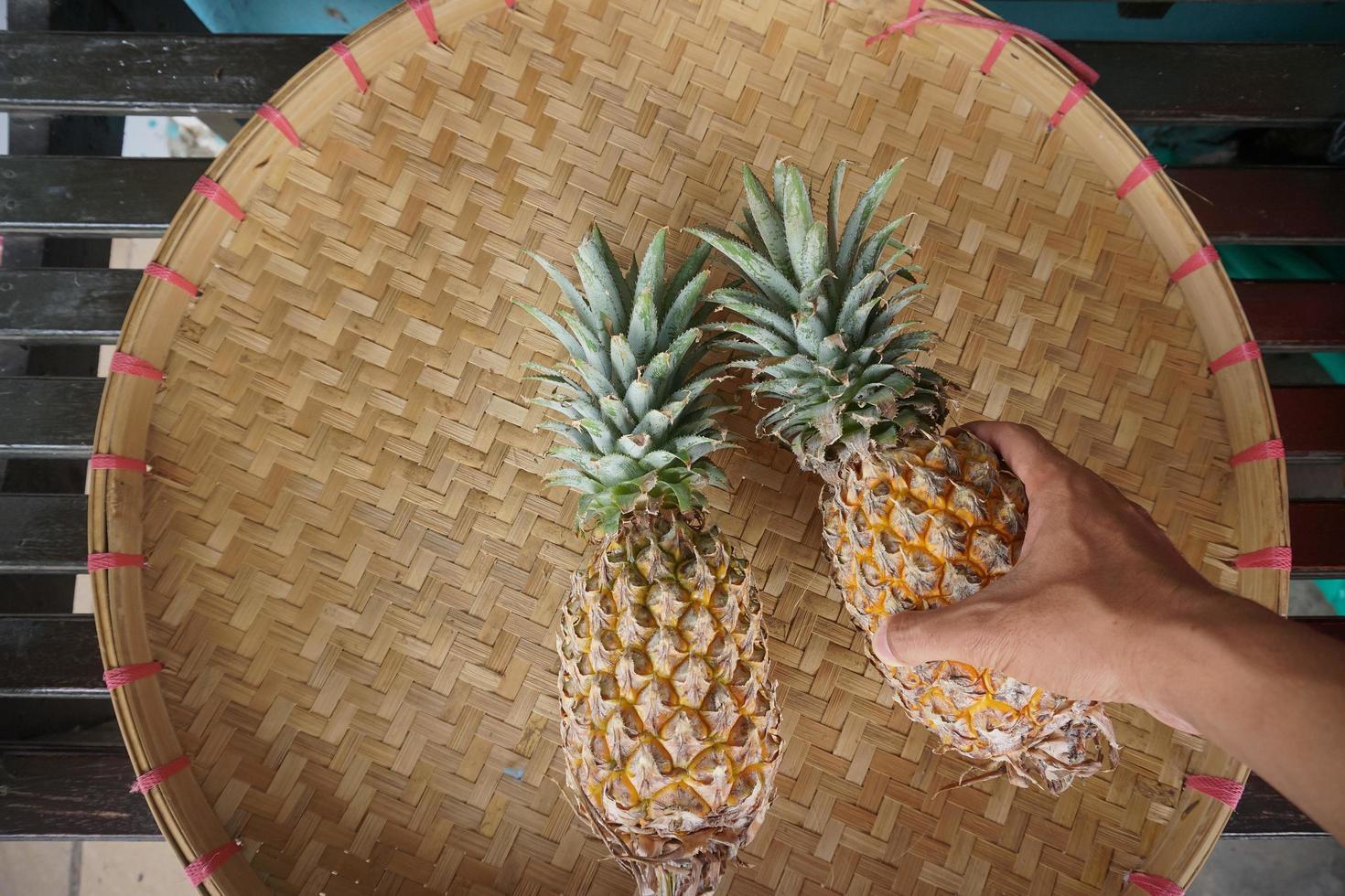 Pineapple fruits after harvesting. Pineapples are tropical fruits that are rich in vitamins, enzymes and antioxidants. They may help boost the immune system. Free Photo