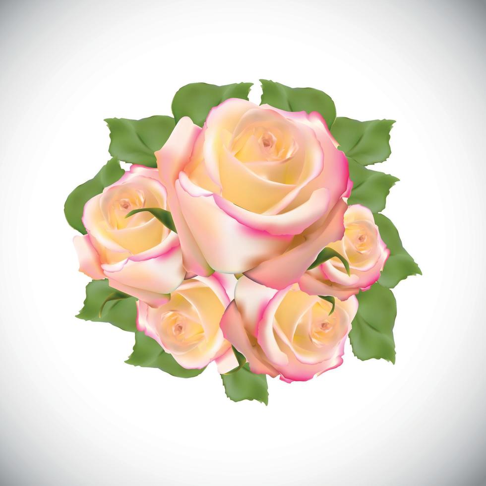 Realistic Rose High Quality Vector Illustration