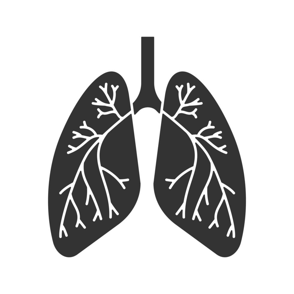 Human lungs with bronchi and bronchioles glyph icon. Respiratory system anatomy. Silhouette symbol. Negative space. Vector isolated illustration