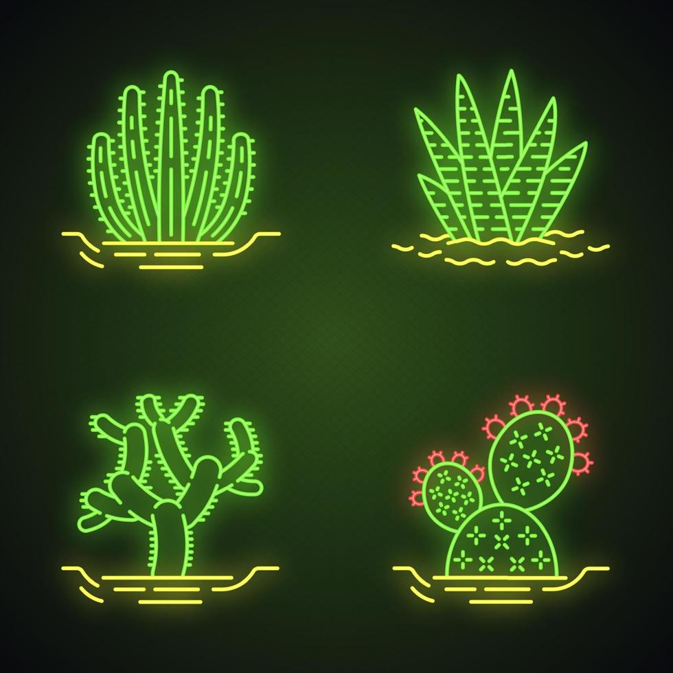 Wild cacti in ground neon light icons set. Tropical succulent. Spiny plant. Zebra cactus, cholla, prickly pear, organ pipe cactus. Glowing signs. Vector isolated illustrations