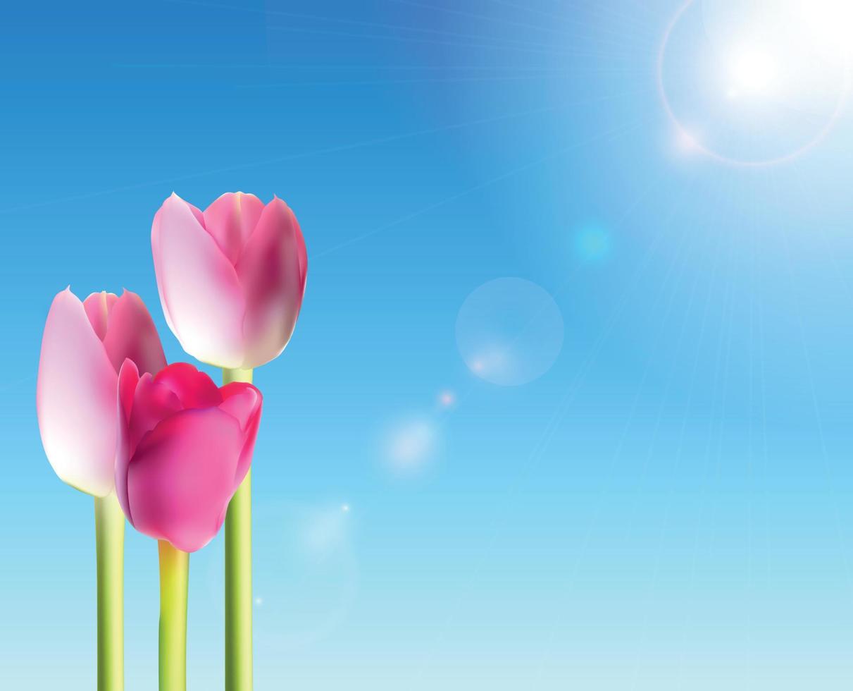 Beautiful Pink Tulips Against Shiny Sky Vector Illustration