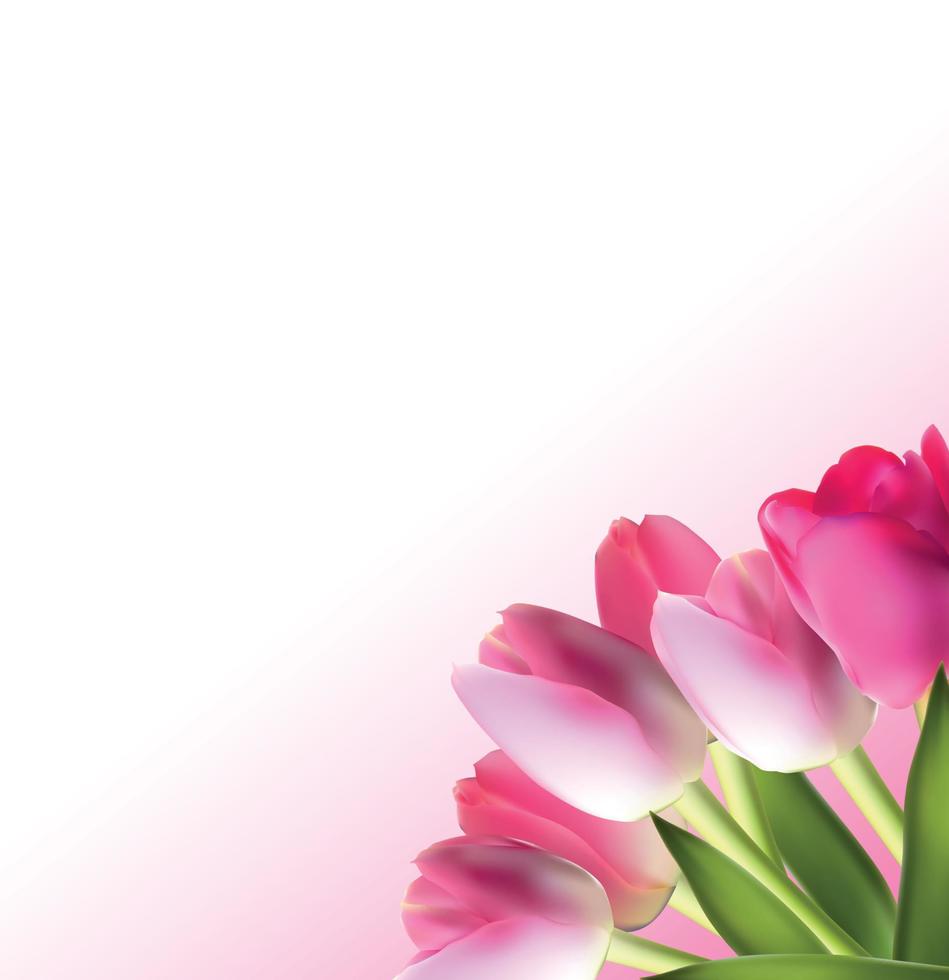 Beautiful Pink Realistic Tulip Background Vector Illustration