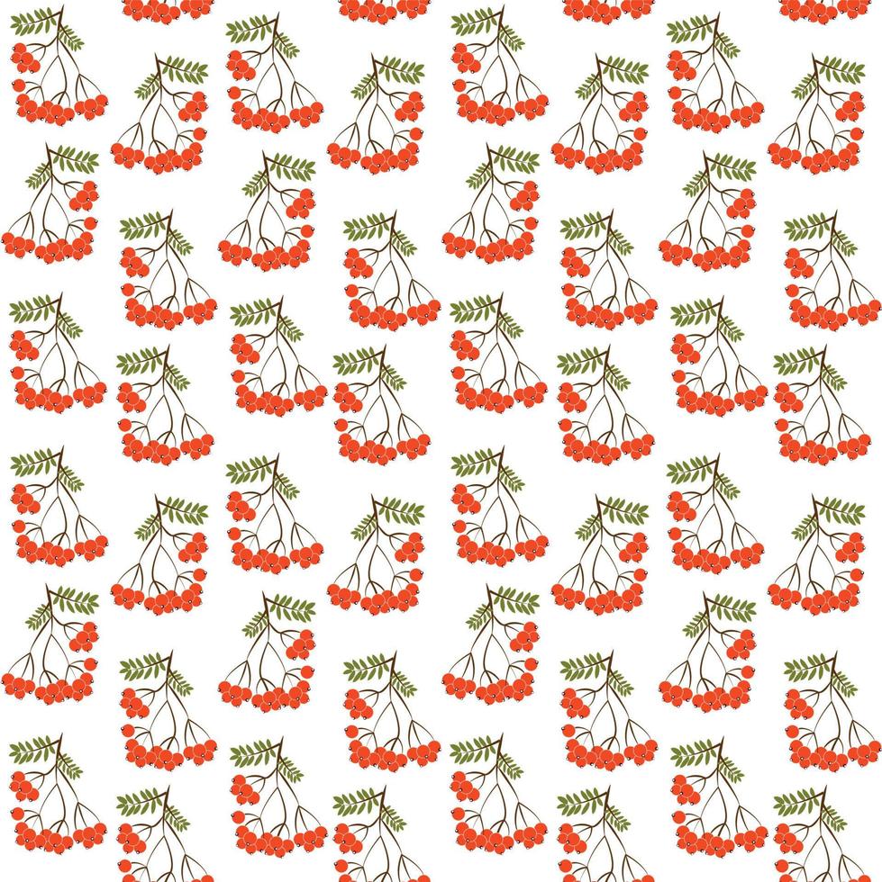 Seamless pattern background with rowanberrys and leafs vector