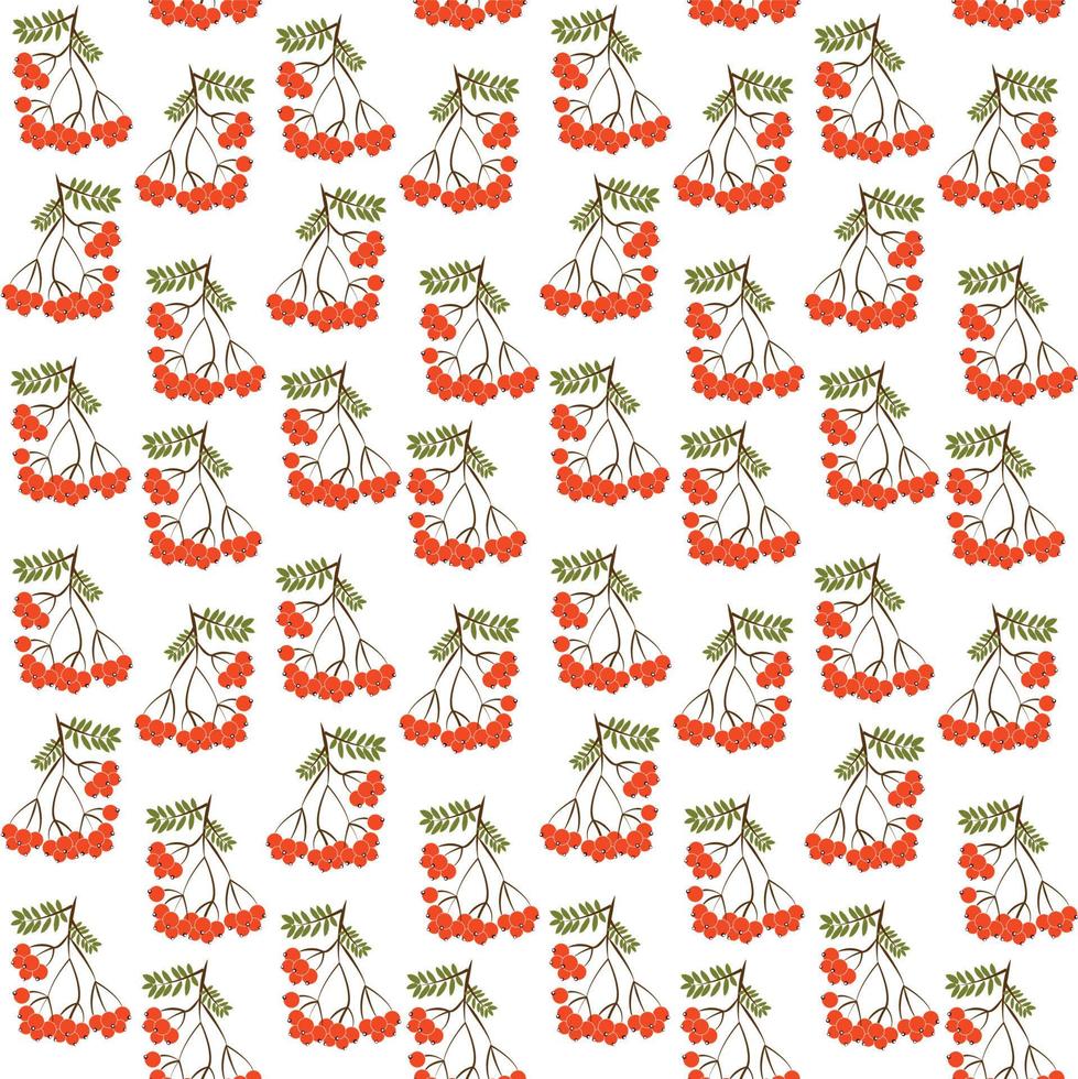 Seamless pattern background with rowanberrys and leafs vector