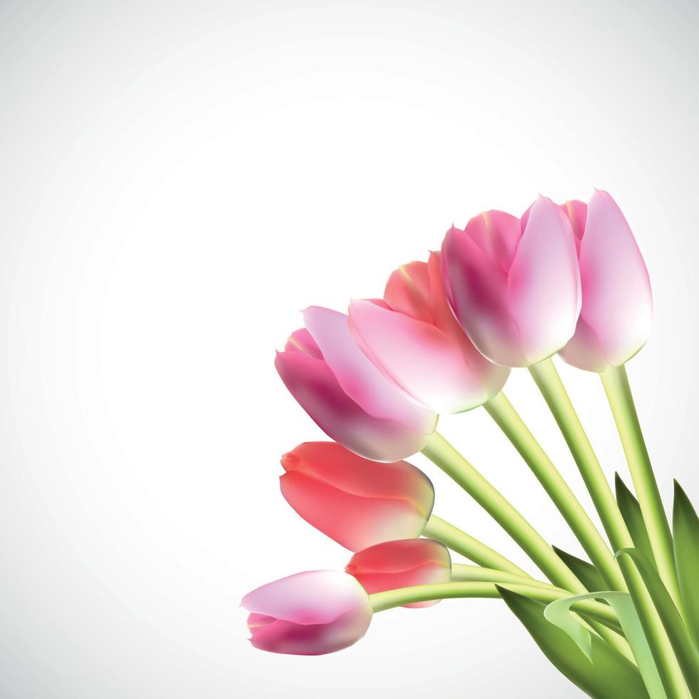 Beautiful Pink Realistic Tulip Vector Illustration