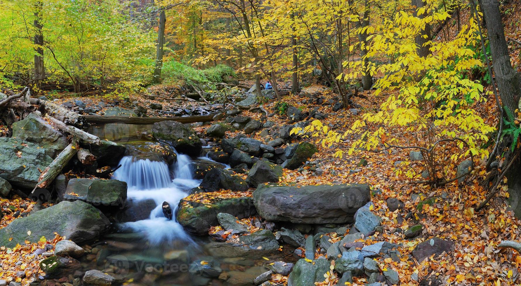creek panorama view photo