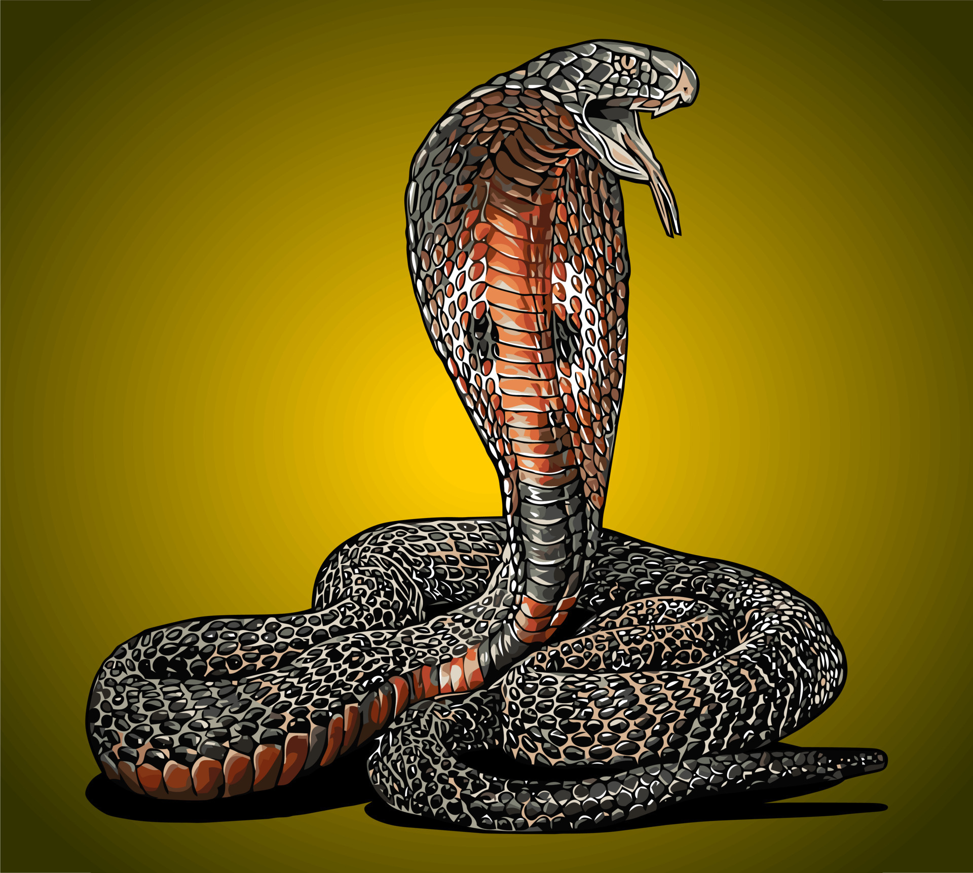 Cobra Snake Side View